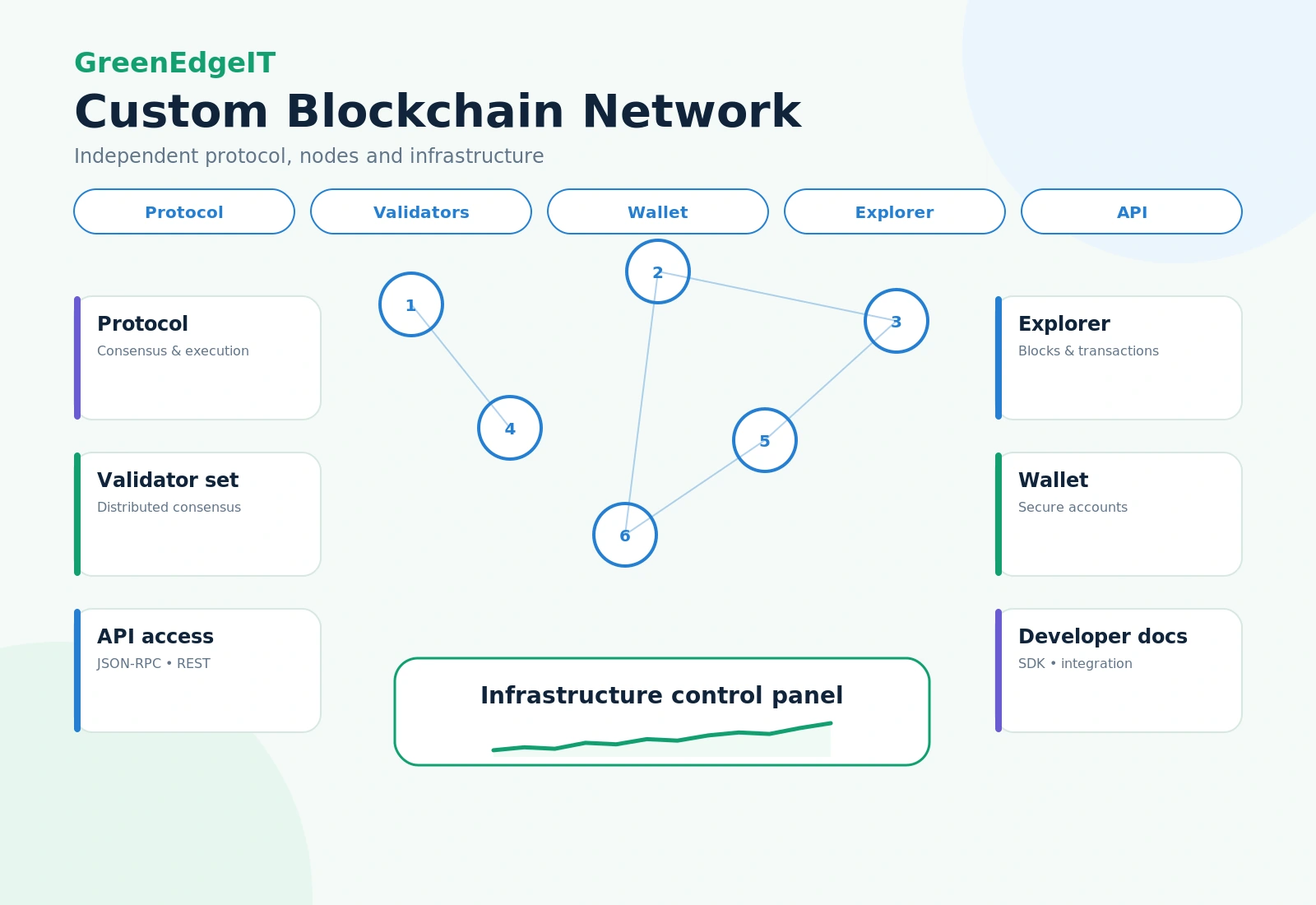 Custom blockchain network infographic